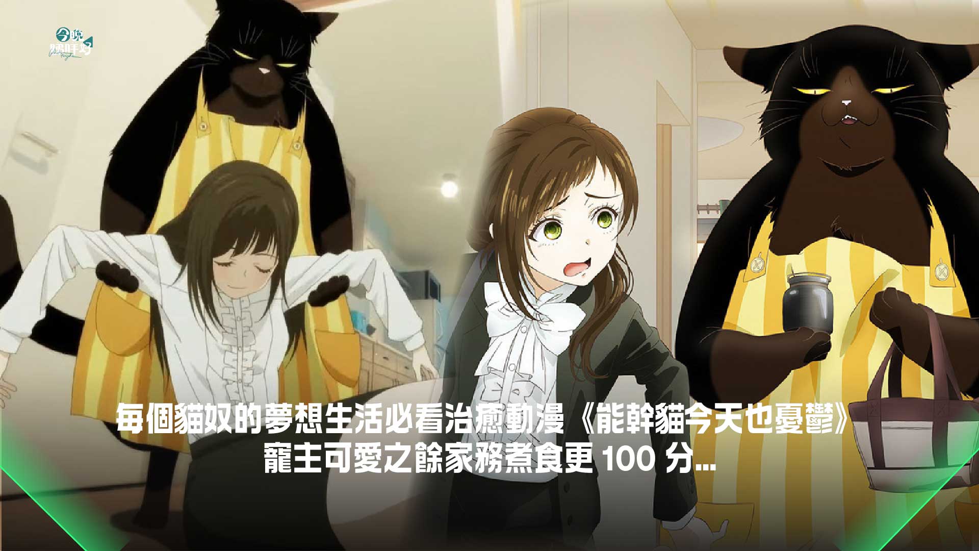 每個貓奴的夢想生活必看治癒動漫《能幹貓今天也憂鬱》，寵主可愛之餘家務煮食更100 分… | KONGGOK 港角