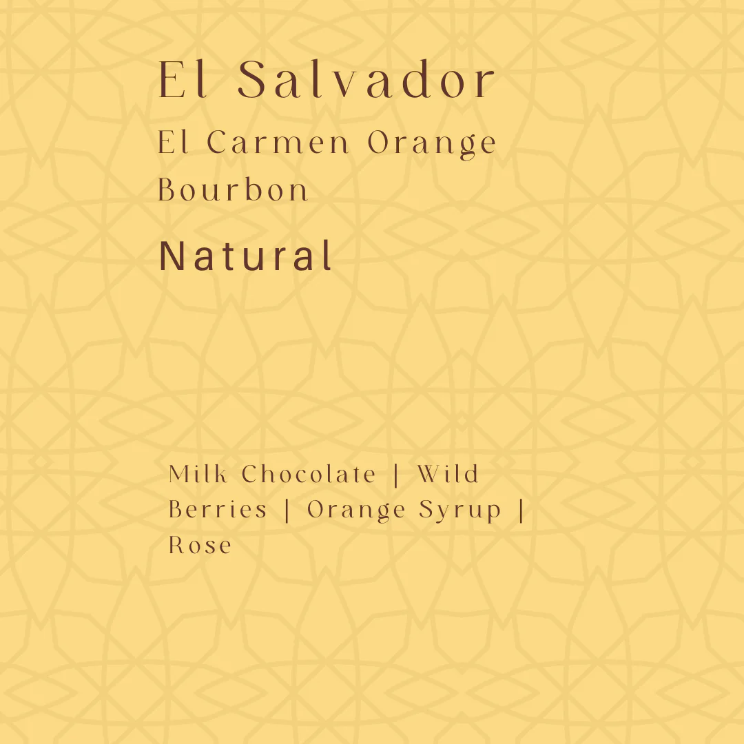 薩爾瓦多（ El Salvador - El Carmen Orange Bourbon ）